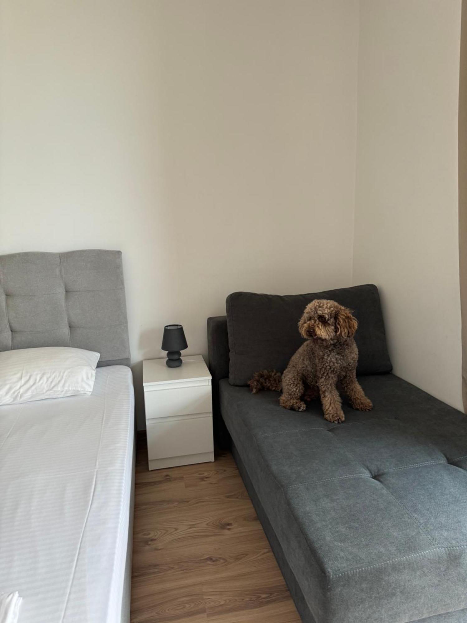 Апартаменти За Гости "Екатерина" Guest Apartments "Ekaterina" Burgaz Dış mekan fotoğraf