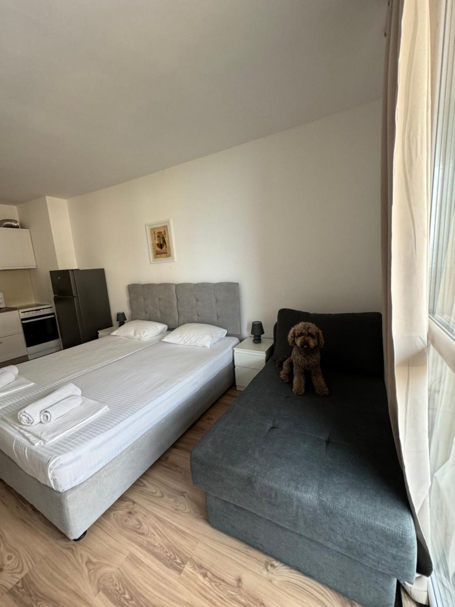 Апартаменти За Гости "Екатерина" Guest Apartments "Ekaterina" Burgaz Dış mekan fotoğraf